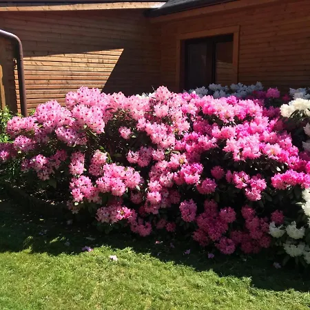 The Gorgeous Log House, That Brings Out The Smile! Hara