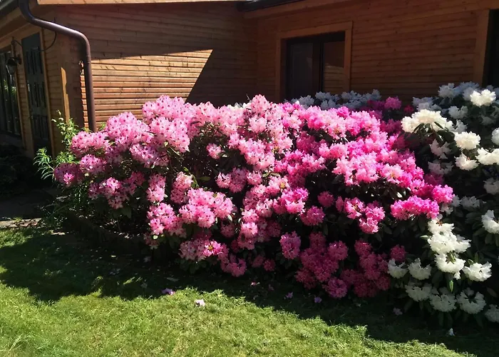 The Gorgeous Log House, That Brings Out The Smile! Hara